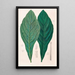 Icones Aroidearum Pl12 - Heinrich Wilhelm Schott — framed artwork on a wall