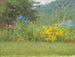 In een tuin in Surrey bij Witley - Helen Allingham — weergave van het kunstwerk