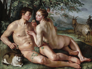 De Val van de Mens - Hendrick Goltzius — weergave van het kunstwerk