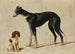 Een Cavalier King Charles Spaniël zittend en een windhond staand - Hendrik Stokvisch — weergave van het kunstwerk