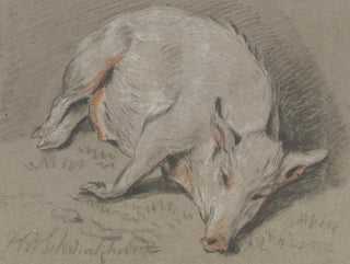 Varken liggend - Hendrik Willem Schweickhardt — weergave van het kunstwerk