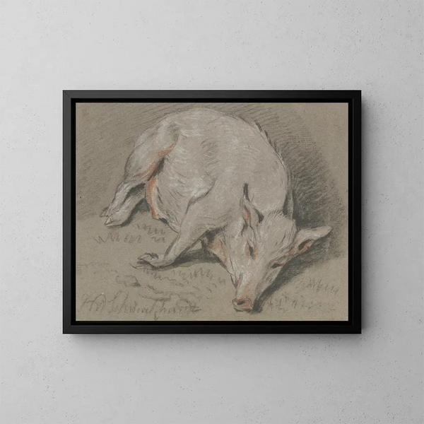 Pig lying down - Hendrik Willem Schweickhardt — framed artwork on a wall