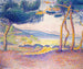 Pins langs de kust - Henri-Edmond Cross — weergave van het kunstwerk