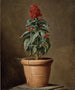 Een plant in een pot - Henri-Horace Roland Delaporte — weergave van het kunstwerk
