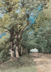 Allée sous-bois - Henri-Joseph Harpignies — weergave van het kunstwerk