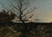 Heldere Maanlicht in de omgeving van Marseille - Henri-Joseph Harpignies — weergave van het kunstwerk