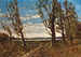 Landschap met windstoot - Henri-Joseph Harpignies — weergave van het kunstwerk