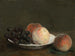 Pêches et raisins dans un bol en porcelaine - Henri Fantin-Latour — weergave van het kunstwerk