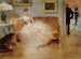Het bal - Henri Gervex — weergave van het kunstwerk