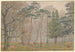 Bois de Boulogne - Henri Rivière — weergave van het kunstwerk