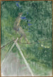 La danseuse de corde - Henri de Toulouse-Lautrec — weergave van het kunstwerk
