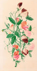 Viooltjes - Henrietta Benson Homer — weergave van het kunstwerk