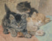 Drie katjes - Henriette Ronner-Knip — weergave van het kunstwerk