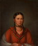 Hayne Hudjihini Aigle des délices - Henry Inman — weergave van het kunstwerk