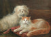 Studie van een terriër en een kat - Henry Maurice Page — weergave van het kunstwerk