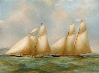 Henry Sargeant - Yacht Racing.webp