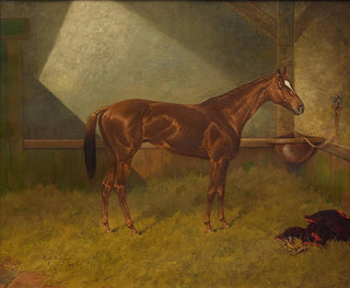 Een racepaard in een stal - Henry Stull — weergave van het kunstwerk