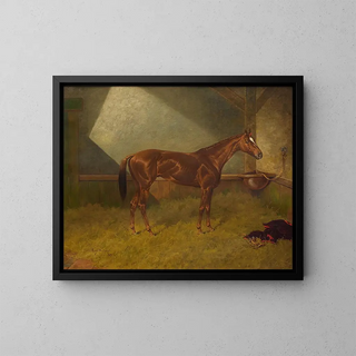 Een racepaard in een stal - Henry Stull — ingelijst kunstwerk aan de muur
