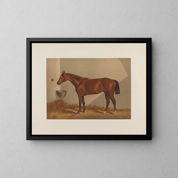 Luke Blackburn - Henry Stull — framed artwork on a wall