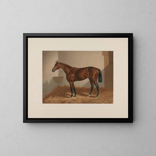 Paard van Ten Broeck Bay - Henry Stull — ingelijst kunstwerk aan de muur