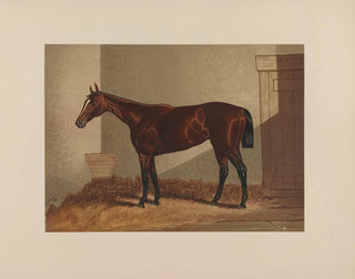 Thora - Henry Stull — weergave van het kunstwerk