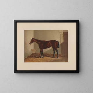 Thora - Henry Stull — ingelijst kunstwerk aan de muur
