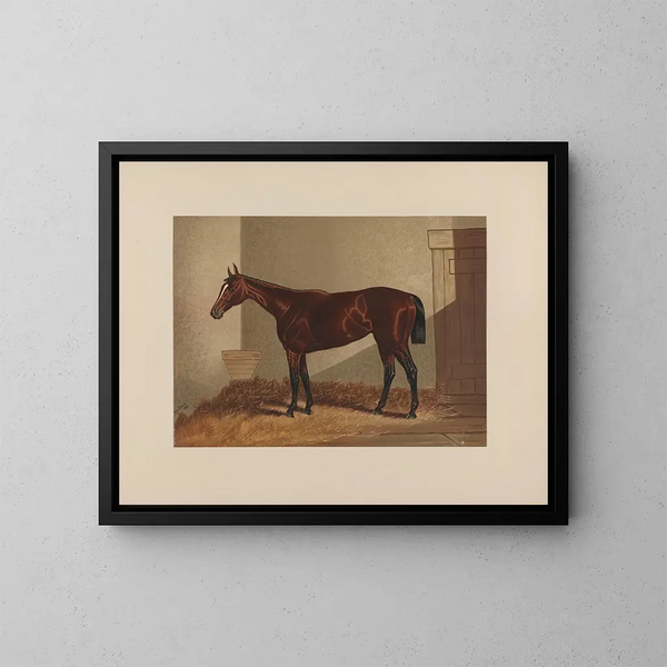 Thora - Henry Stull — framed artwork on a wall