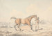 Een hoefsmid die een kastanjebruine paard leidt - Henry Thomas Alken — weergave van het kunstwerk
