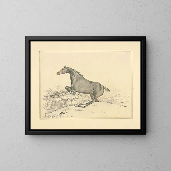 a jumping horse - Henry Thomas Alken — framed artwork on a wall
