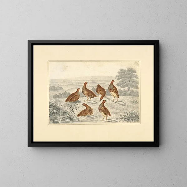 Pheasants in a Field - Henry Thomas Alken — framed artwork on a wall