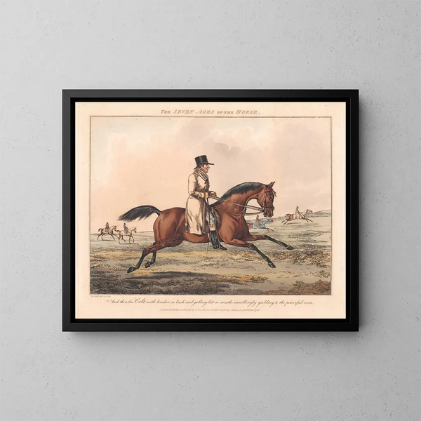 De Zeven Leeftijden van het Paard - Henry Thomas Alken — ingelijst kunstwerk aan de muur