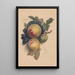 Pêches et raisins - Henryka Beyer — ingelijst kunstwerk aan de muur
