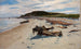 Cape Cod Beach - Herman Hartwich — weergave van het kunstwerk