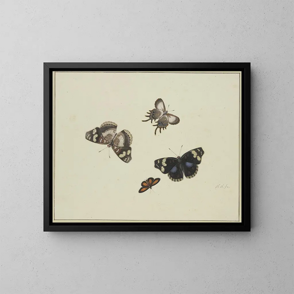 Four butterflies - Herman Henstenburgh — framed artwork on a wall