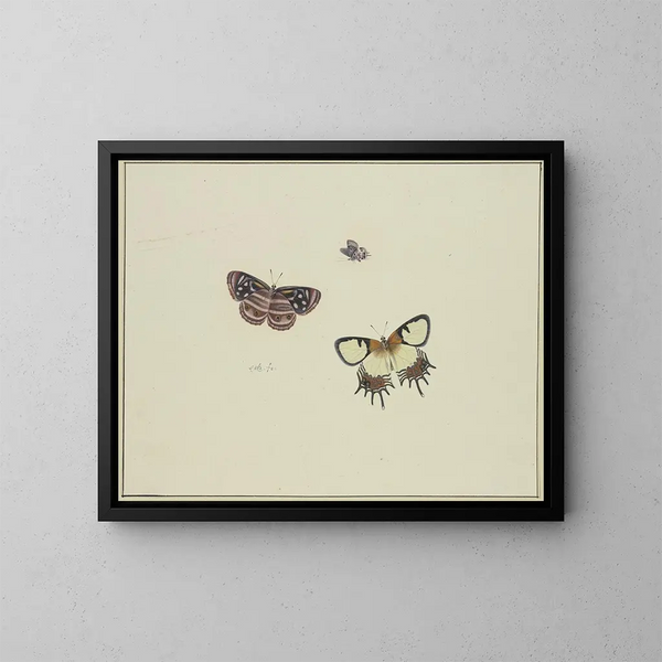 Three butterflies - Herman Henstenburgh — framed artwork on a wall