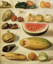 Natuurstudie met fruit, scorpion en kikker - Hermenegildo Bustos — weergave van het kunstwerk