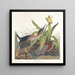 Green Heron Painting - John James Audubon — framed artwork on a wall