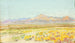 Desert Landscape Painting - Howard Russell Butler — artwork view