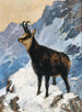 Chamois in hoge berggebieden - Hugo Engl — weergave van het kunstwerk