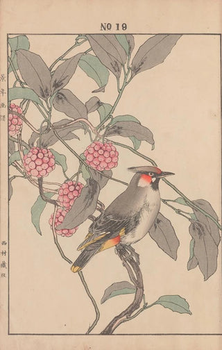 Imao Keinen - Keinen kach gafu Pl021.webp