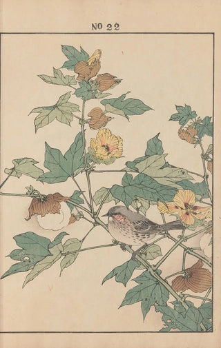 Imao Keinen - Keinen kach gafu Pl024.webp