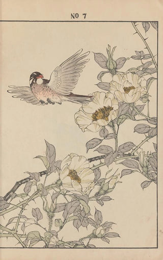 Imao Keinen - Keinen kach gafu Pl050.webp