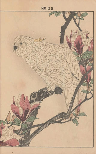 Imao Keinen - Keinen kach gafu Pl074.webp