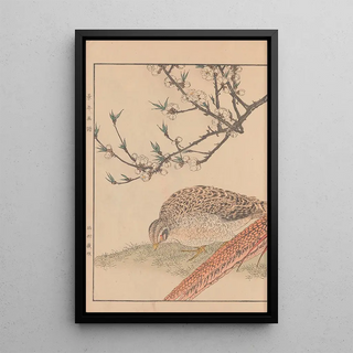 Imao Keinen - Keinen kach gafu Pl079.webp