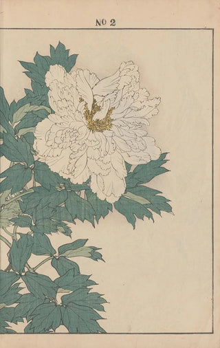 Imao Keinen - Keinen kach gafu Pl084.webp