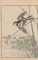 Keinen kach gafu Pl105 - Imao Keinen — weergave van het kunstwerk
