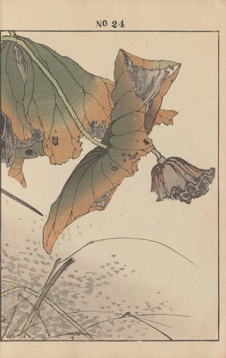 Imao Keinen - Keinen kach gafu Pl148.webp