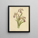 Fleur de Luce Grand Drapeau Bleu - Isaac Sprague — framed artwork on a wall