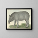 Tapir - Isaac van Haastert — ingelijst kunstwerk aan de muur