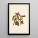 Hauhele - Isabella McHutcheson Sinclair — framed artwork on a wall